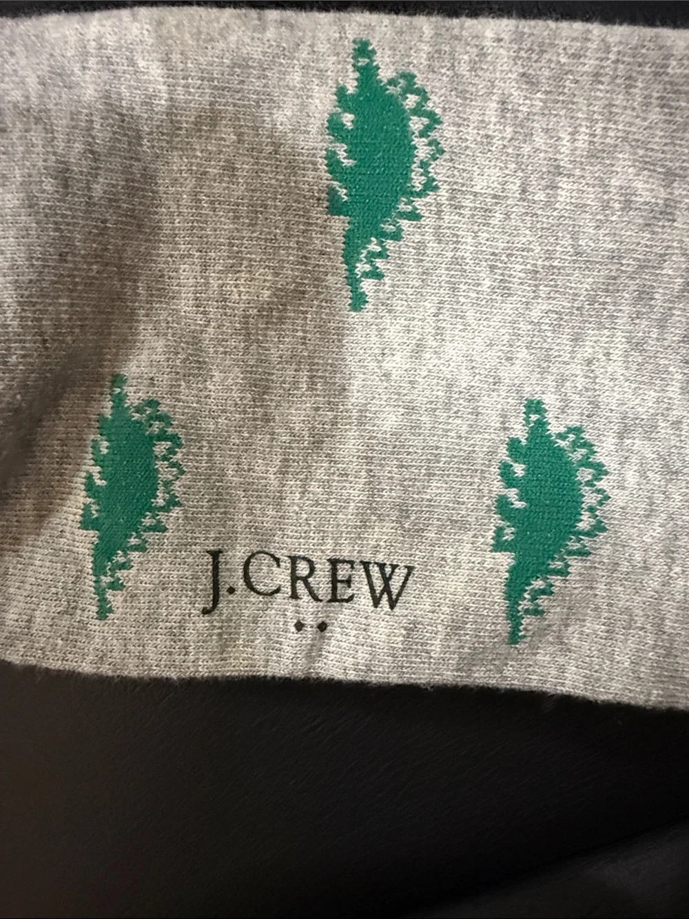 J. Crew Gray Crew Socks with Green Dinosaur NWT